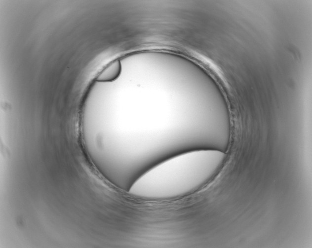 X0000091191415200708091014
