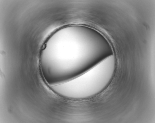 X0000091191416200708091014