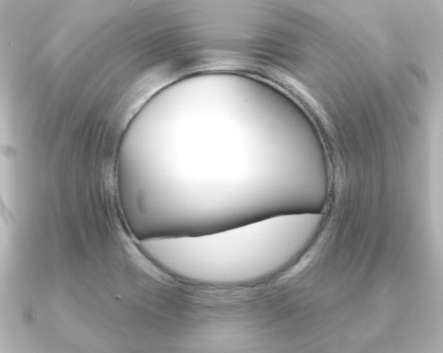 X0000091191417200708091014