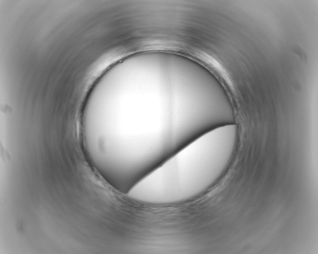 X0000091191419200708091014