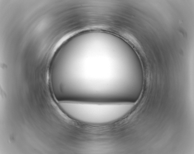 X0000091191420200708091014