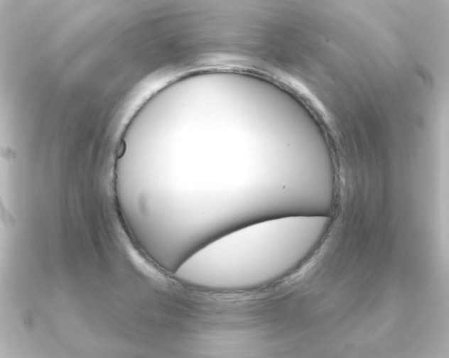 X0000091191421200708091014