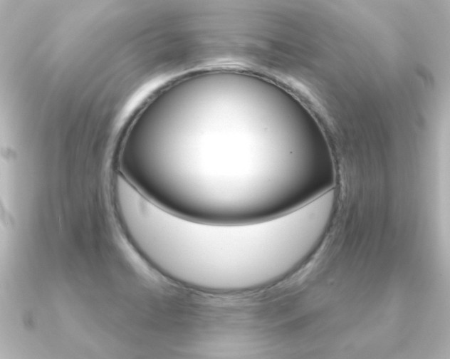 X0000091191422200708091014