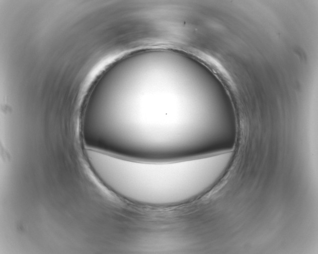 X0000091191424200708091014