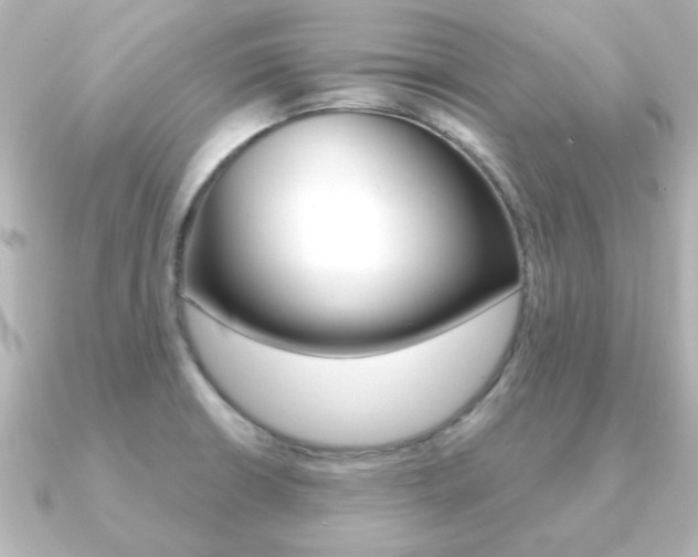 X0000091191426200708091014