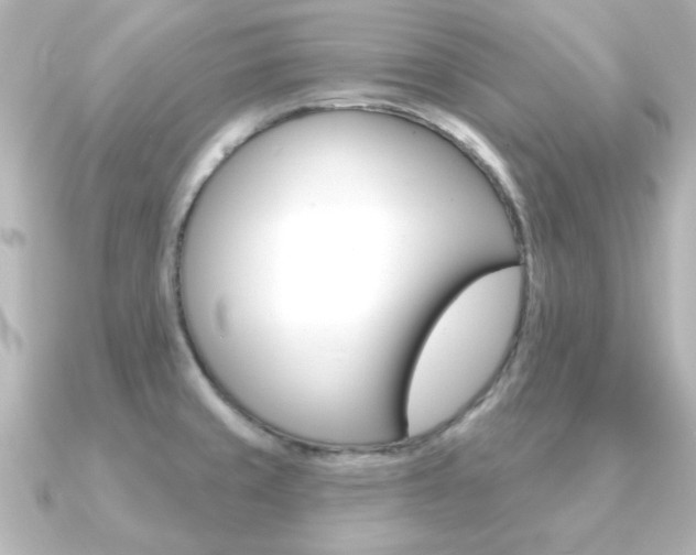 X0000091191429200708091014