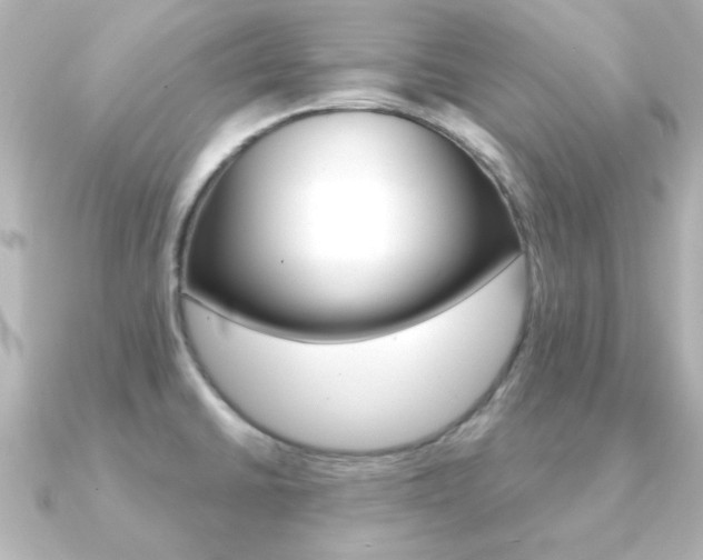 X0000091191430200708091014