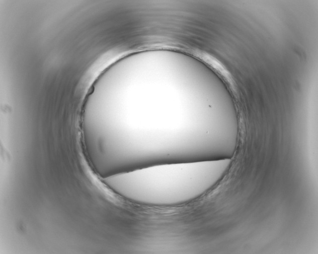 X0000091191431200708091014