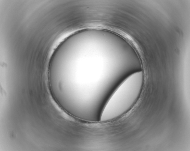 X0000091191432200708091014