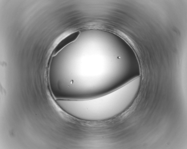 X0000091191434200708091014