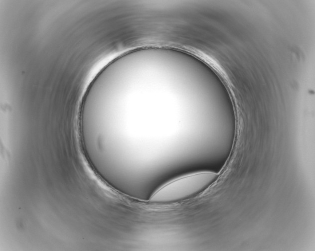 X0000091191440200708091014