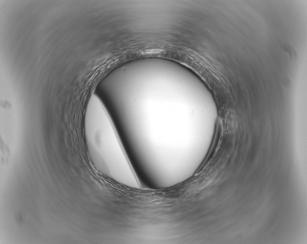 X0000091191441200708091014