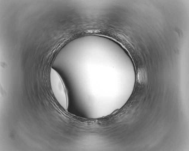 X0000091191444200708091014