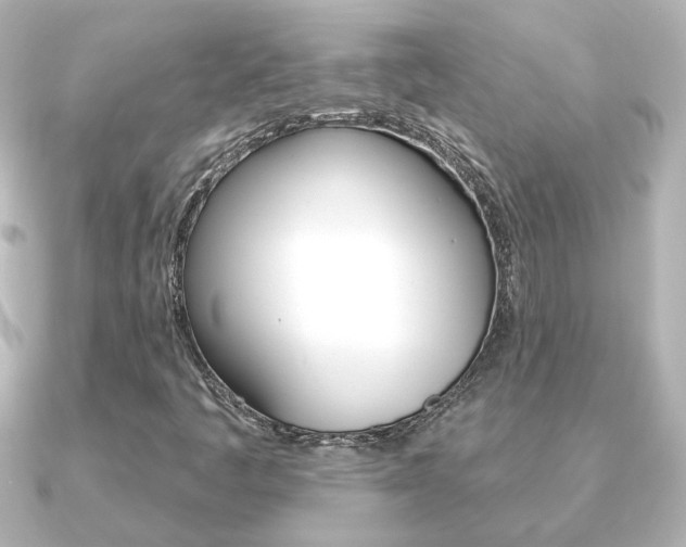 X0000091191445200708091014