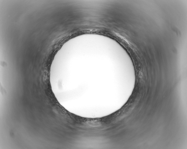 X0000091191447200708091014