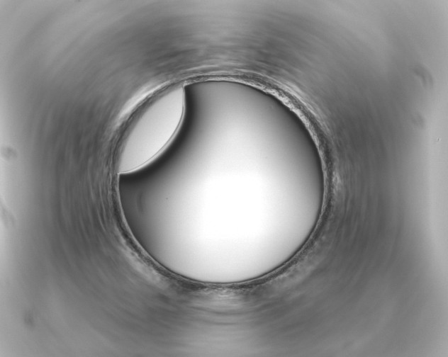 X0000091191450200708091014