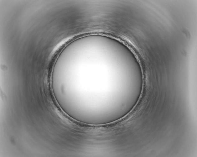 X0000091191452200708091014
