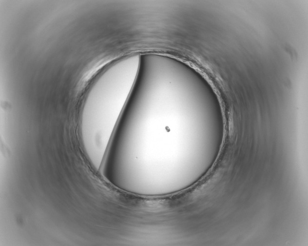 X0000091191453200708091014