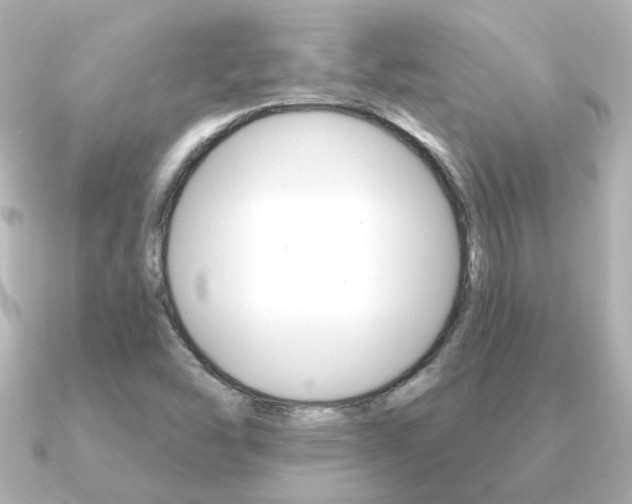 X0000091191454200708091014