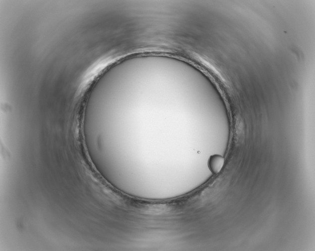 X0000091191455200708091014