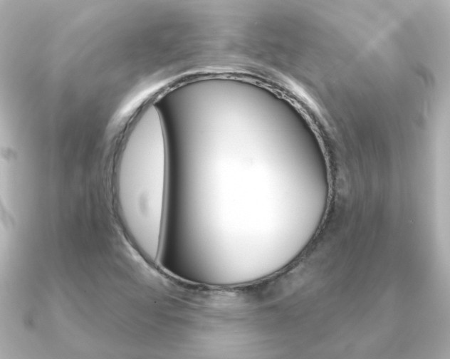 X0000091191456200708091014