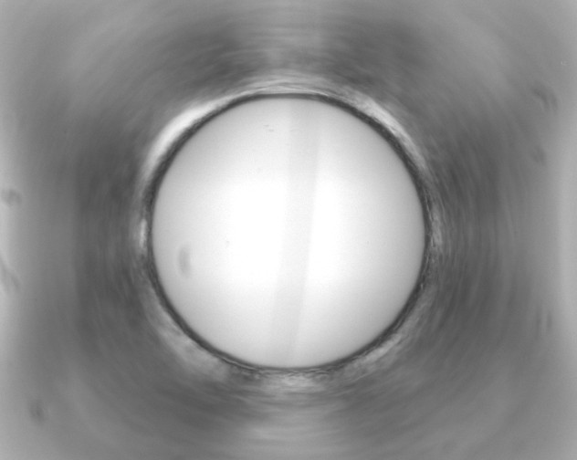 X0000091191462200708091014