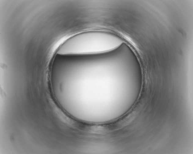 X0000091191463200708091014