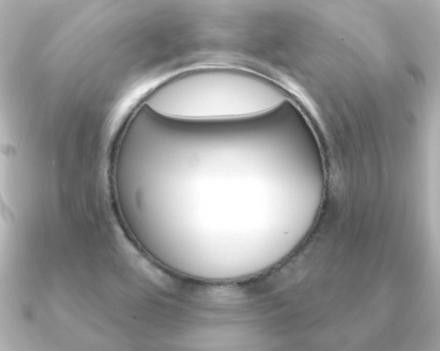 X0000091191464200708091014