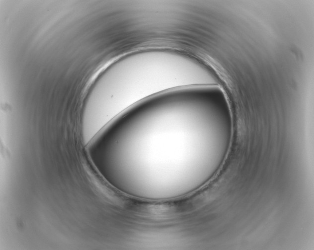 X0000091191465200708091014