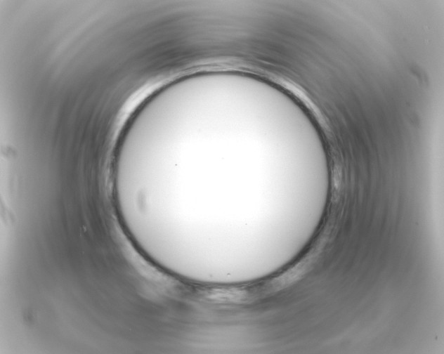 X0000091191466200708091014