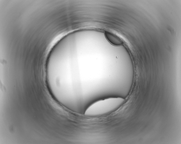 X0000091191467200708091013
