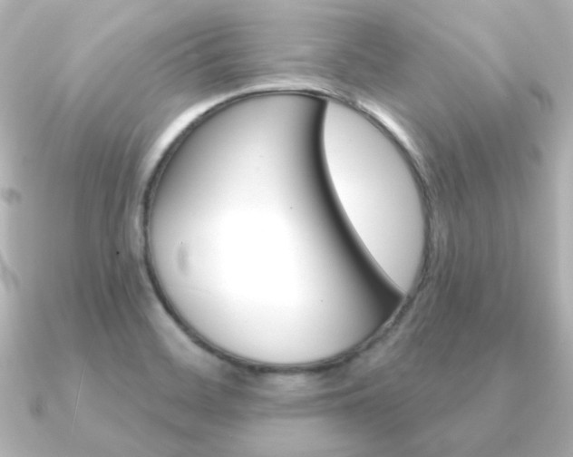 X0000091191468200708091013