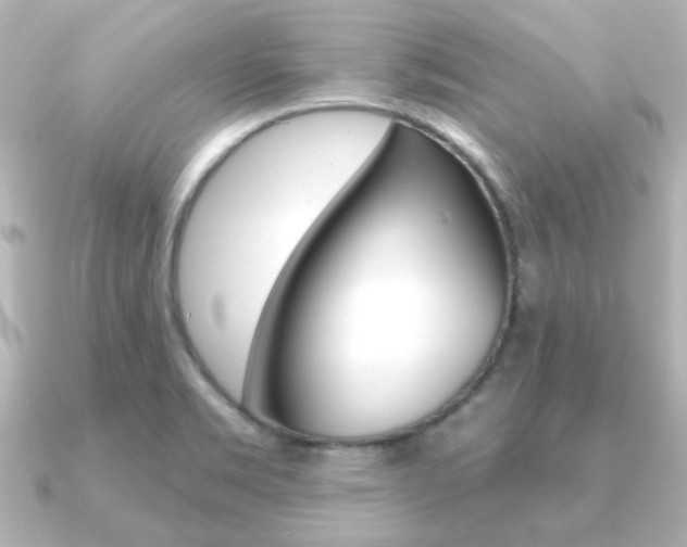 X0000091191469200708091013