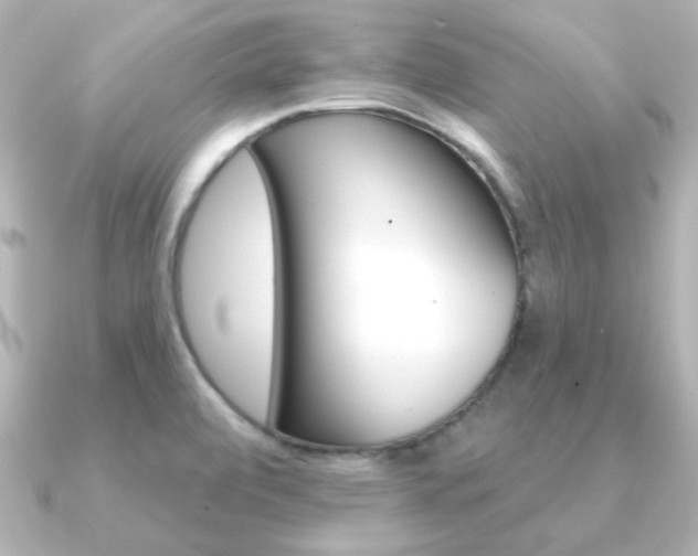 X0000091191472200708091013