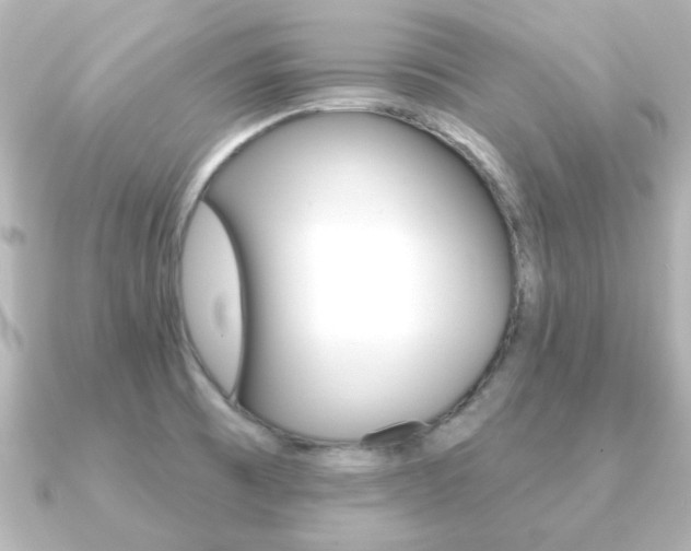 X0000091191473200708091013