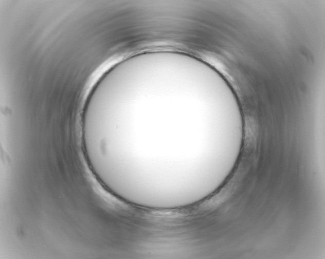 X0000091191474200708091013