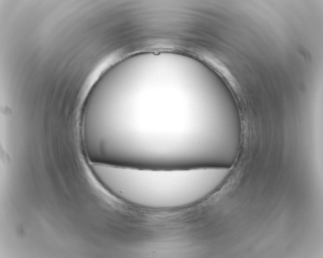 X0000091191475200708091013