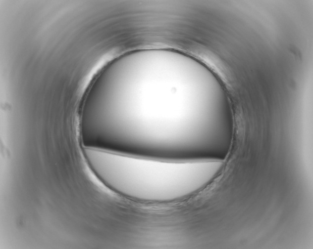 X0000091191476200708091013