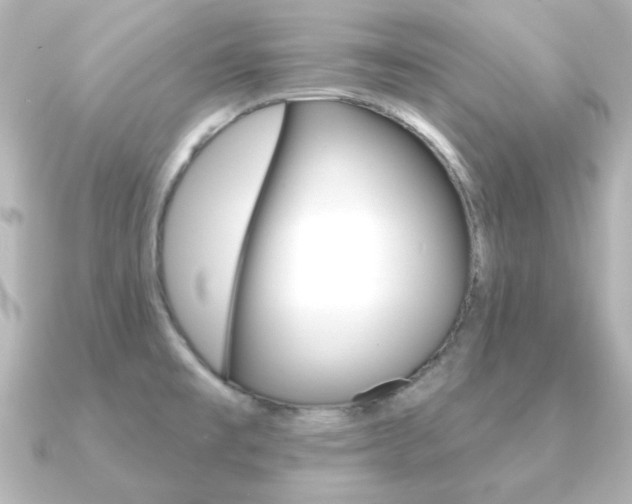X0000091191477200708091013