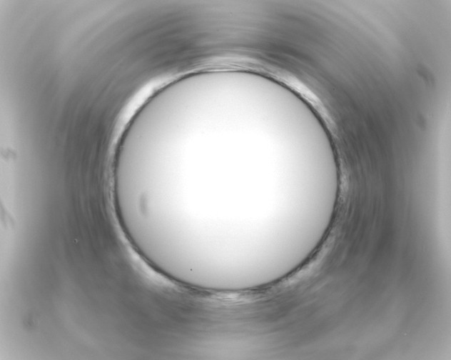 X0000091191478200708091013