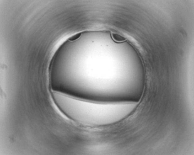 X0000091191479200708091013