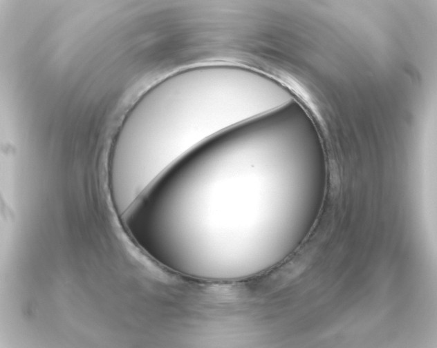 X0000091191480200708091013