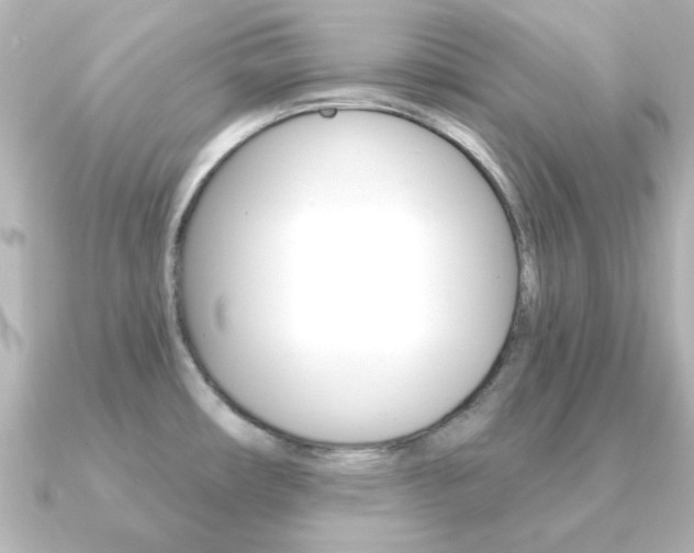 X0000091191482200708091013