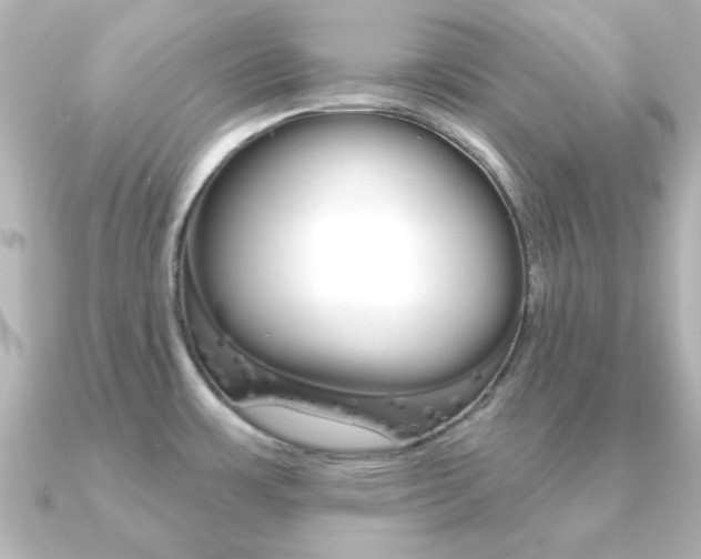 X0000091191483200708091013