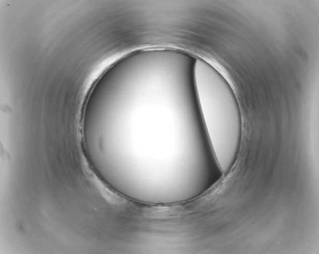 X0000091191485200708091013