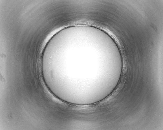 X0000091191486200708091013