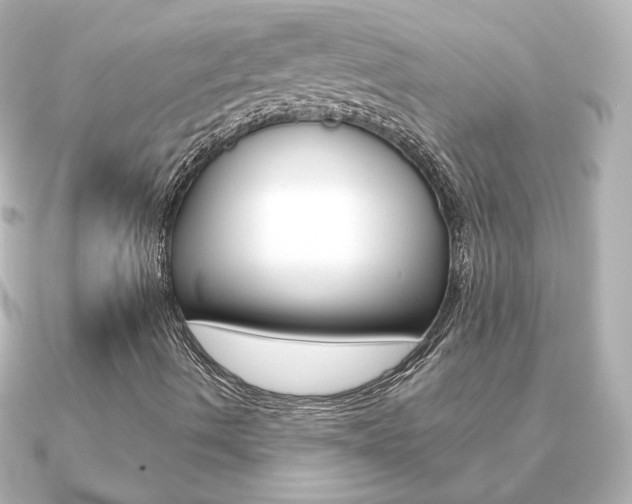 X0000091191490200708091013