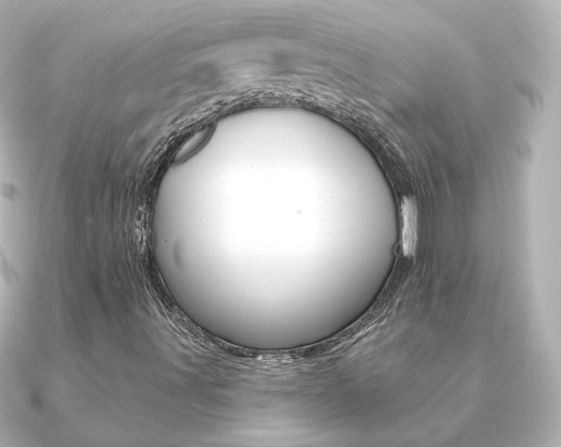 X0000091191491200708091013