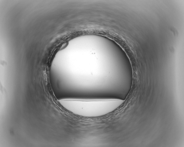 X0000091191493200708091013