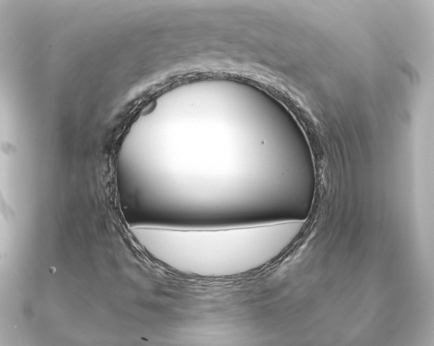 X0000091191494200708091013